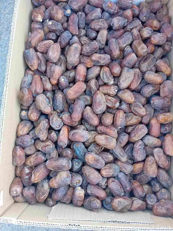 لبيع ونانه وصقعي وخضري 0