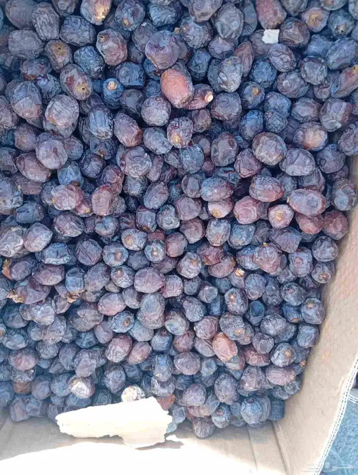 لبيع ونانه وصقعي وخضري 1