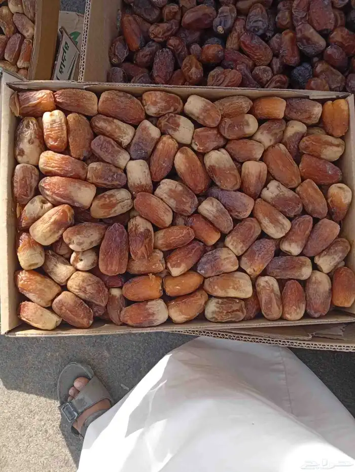 لبيع ونانه وصقعي وخضري 2