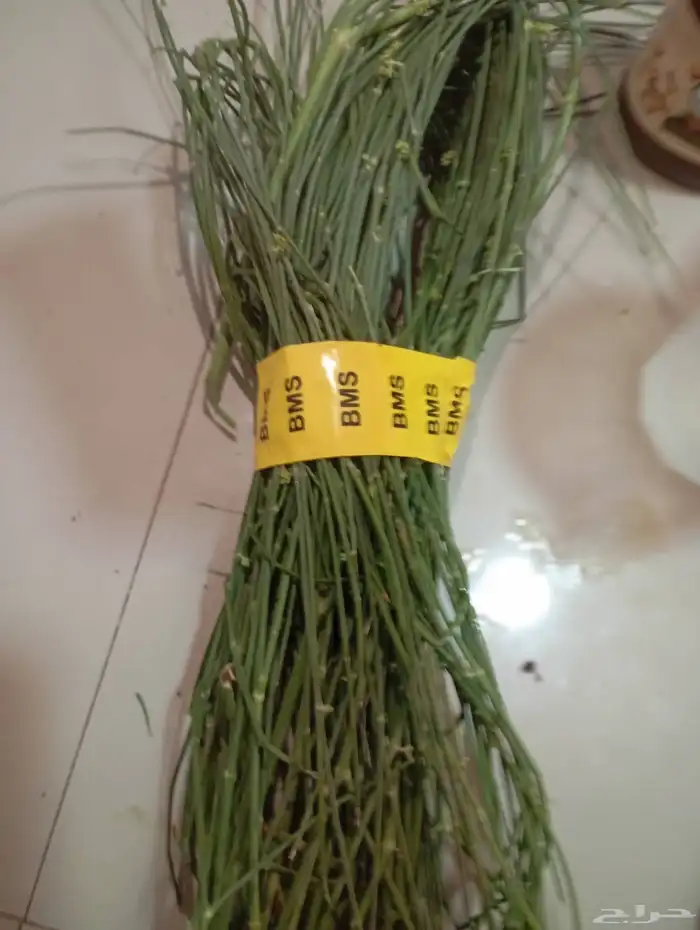 مرخ حنيذ ومندي 3