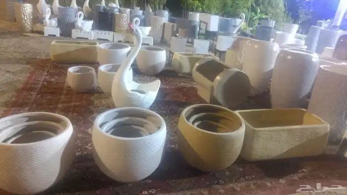 مؤسسة زهرة الخليج الزراعية -نجران -دحضة 3