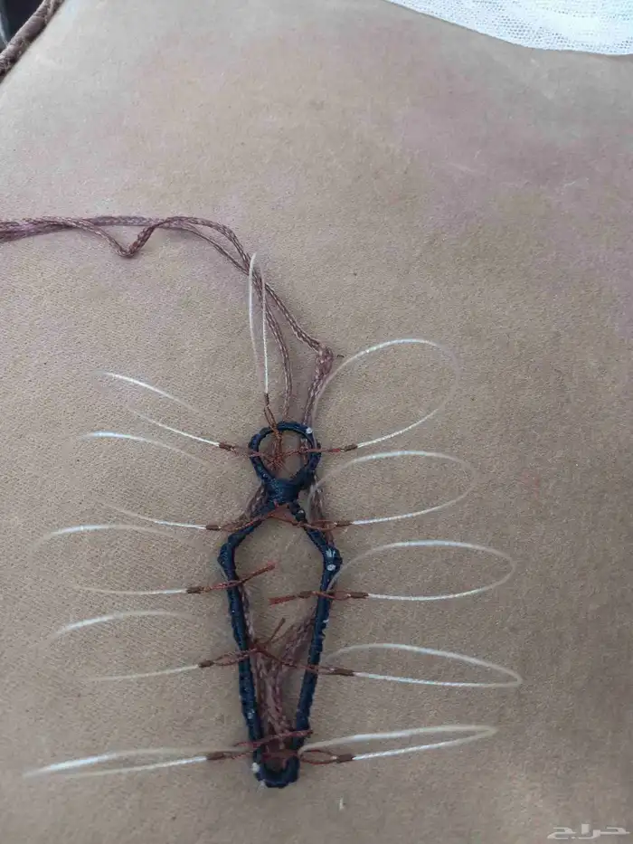 شبك لصيد الصقور 4