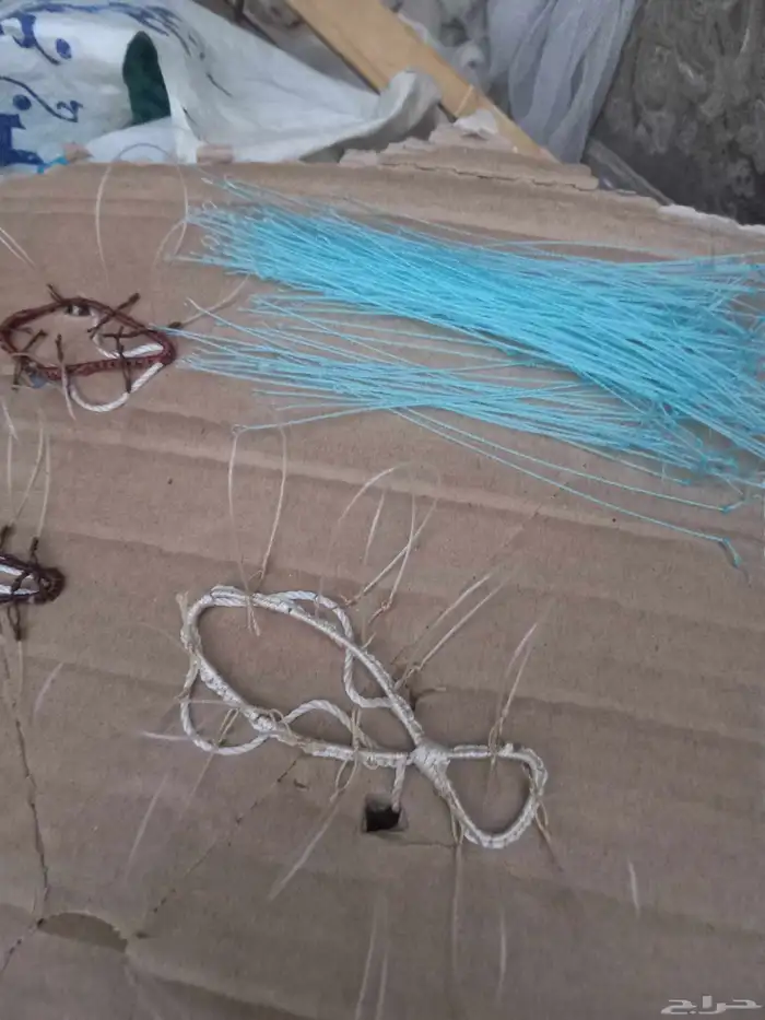 شبك لصيد الصقور 1