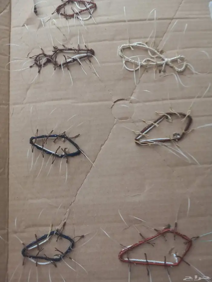 شبك لصيد الصقور 2