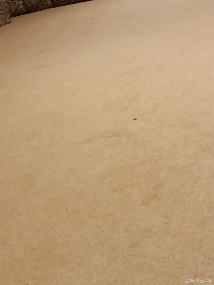 مجلس كامل يتكون مساند خشب وموكيت مع ستاره وطاولات 5