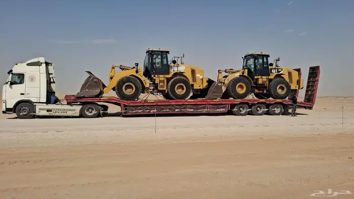 لوبد متواجد في حفر الباطن صداوي سعيره 2