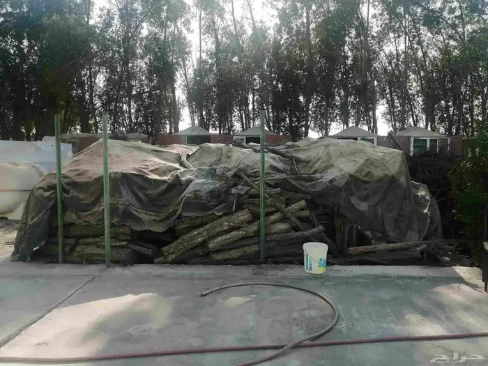 حطب متوفر بكميات 0