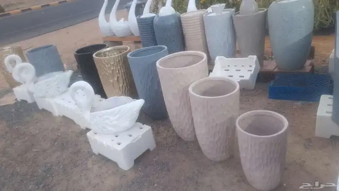 مؤسسة زهرة الخليج الزراعية -نجران -دحضة 6