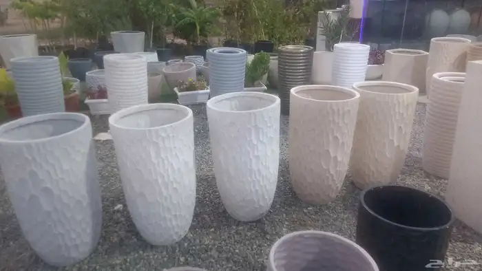 مؤسسة زهرة الخليج الزراعية -نجران -دحضة 5