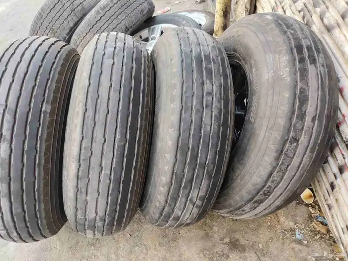 جنوط برأيد 7