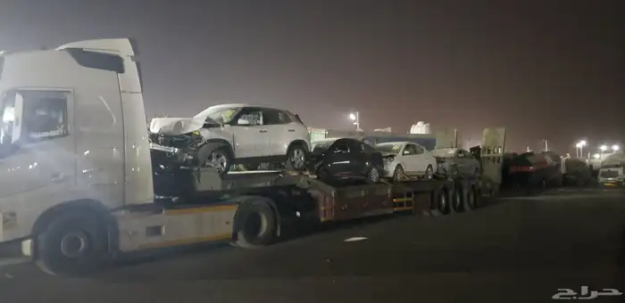 لوبد متواج في بيشه وماحولها 0