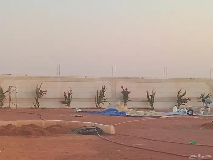 بديل الحجر 2