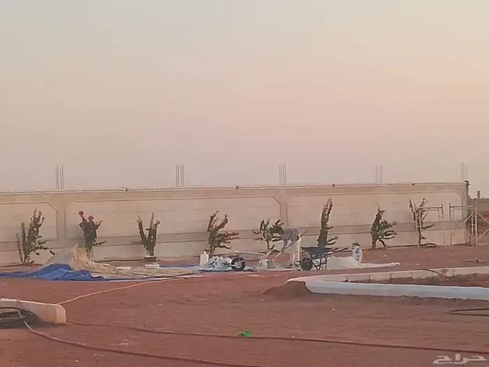 بديل الحجر 4