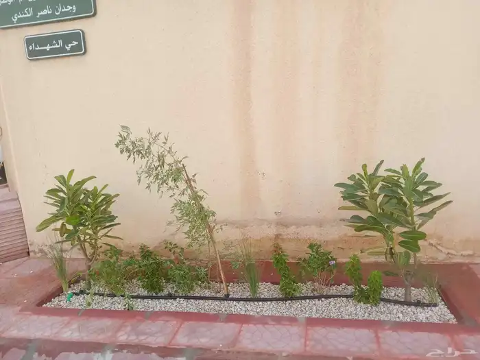 مشتل زراعي 6