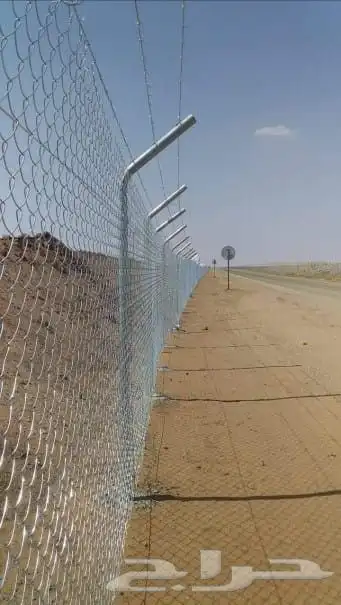نخل للبيع الرياض القصيم 6