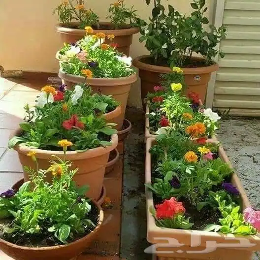 تنسيق حدائق جده ومكه 2