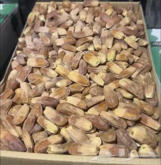 مطلوب شيص صقعي كميه 2