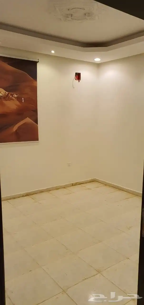 شقه إيجار حي طويق 7