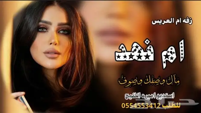 شيلات 2025 17