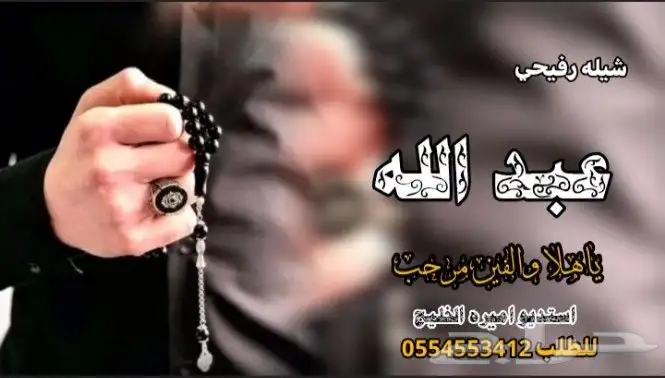 شيلات 2025 8