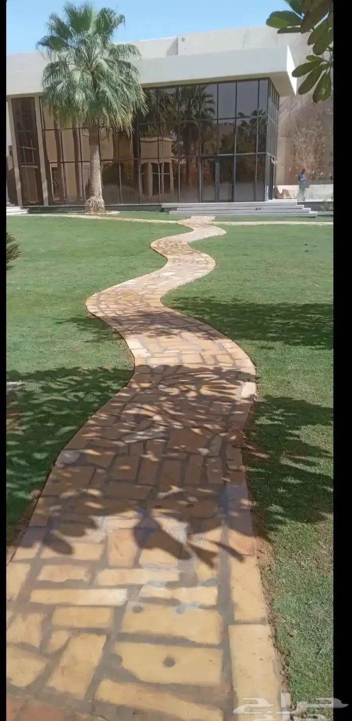 ارخص عشب طبيعي 4