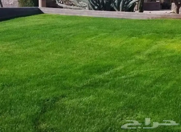 تنسيق الحدائق المنزليه 2