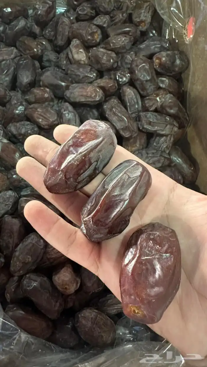 تمور 2