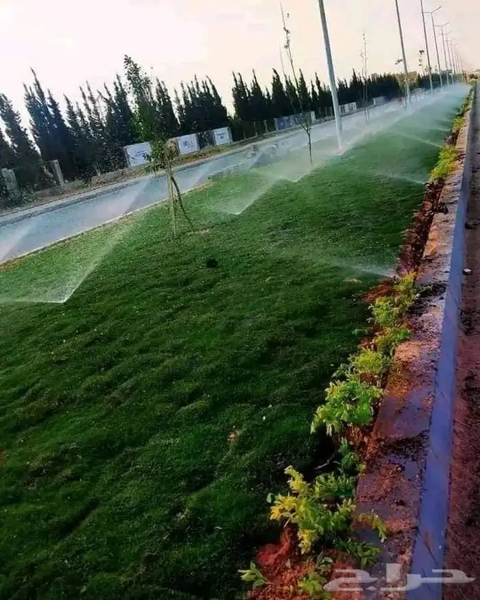 تنسيق الحدائق المنزليه 1