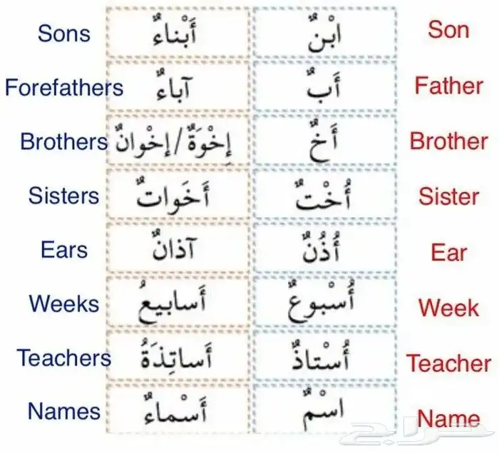 Arabic Language Teacher for Non-Native Speakers 1