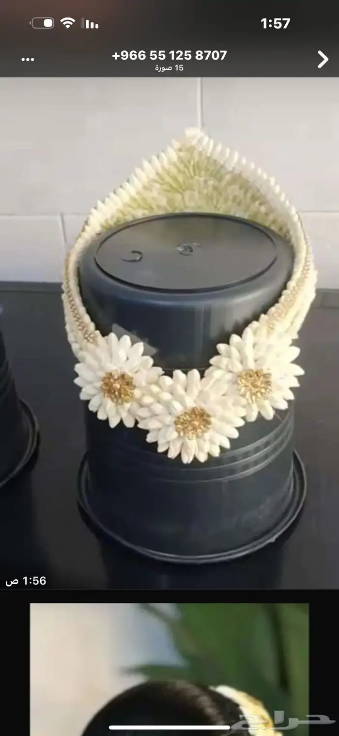 للفل البلدي 8