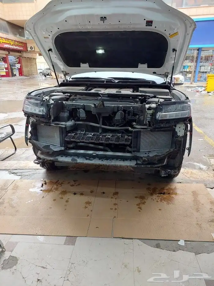 كتات وراد الساير 24 2