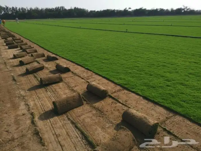 تنسيق الحدائق المنزليه 0