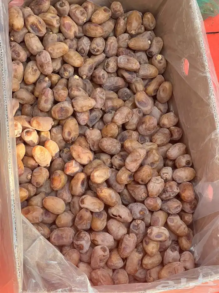 تمور اخلا ص للبيع 2