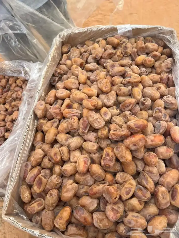 تمور اخلا ص للبيع 1