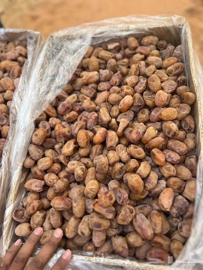تمور اخلا ص للبيع 4