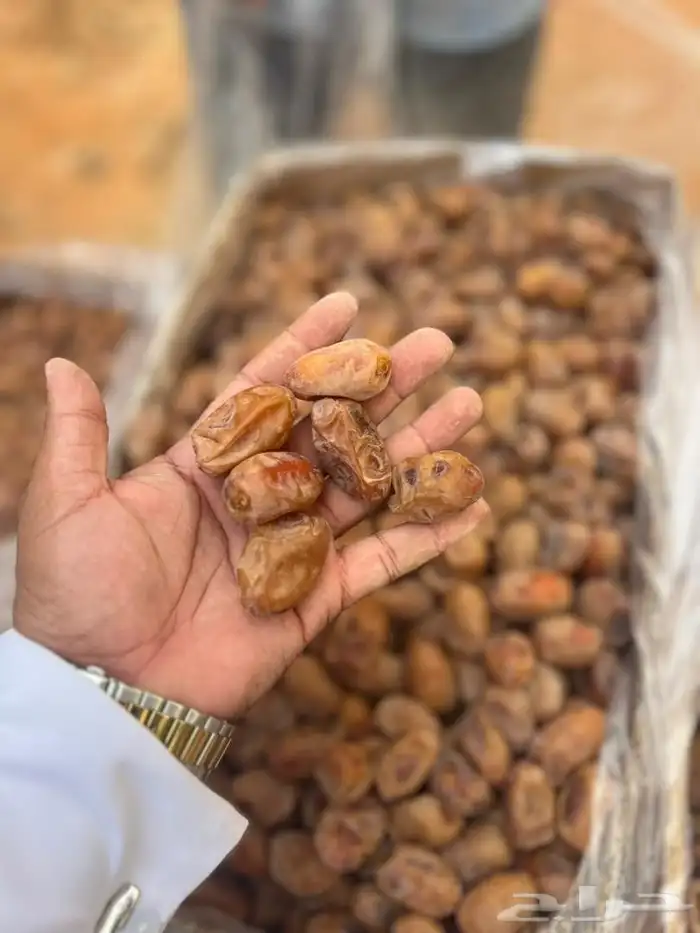 تمور اخلا ص للبيع 3