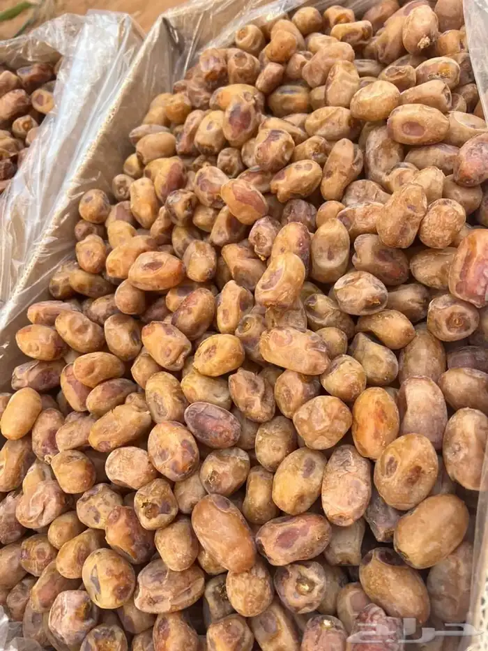 تمور اخلا ص للبيع 7