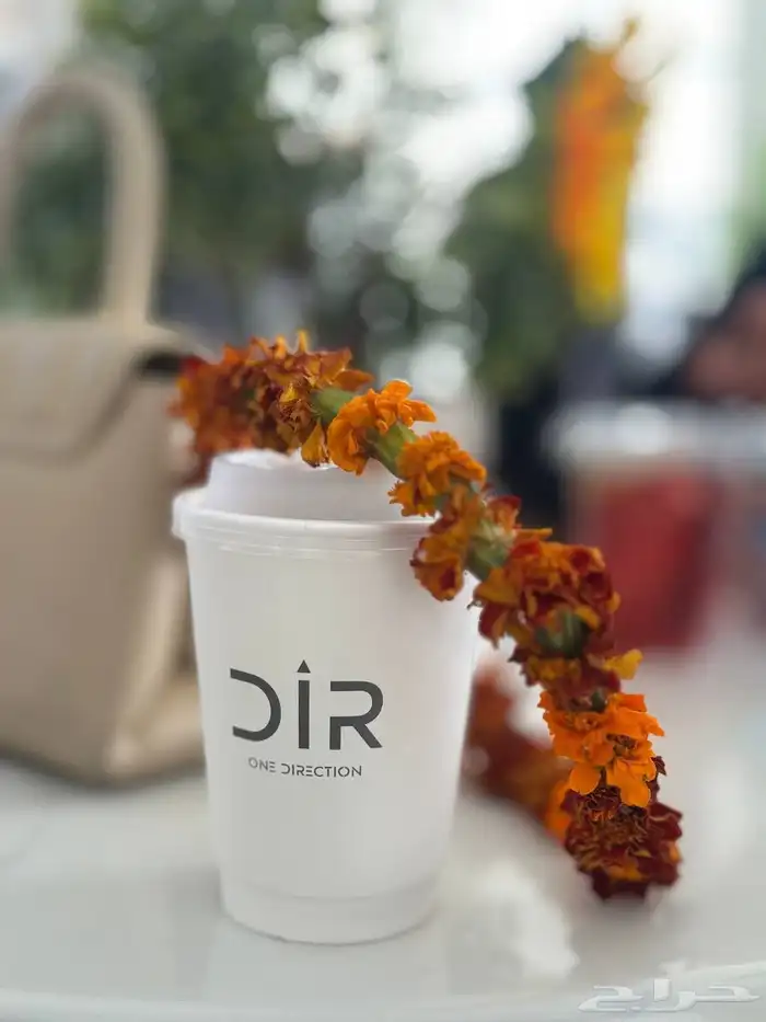 طباعة كتب و بوكسات اكياس ورقية اكواب استيكر بنر رول اب 3