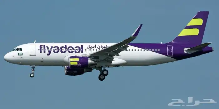 تذكرة طيران 0
