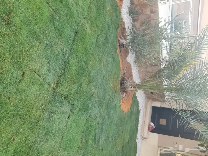 مشتل تنسيق حدائق 9