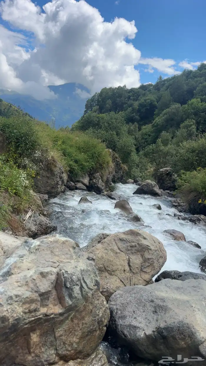 مطلوب شاليه للايجار 0