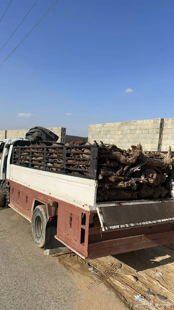 ح ط ب المدينه 8