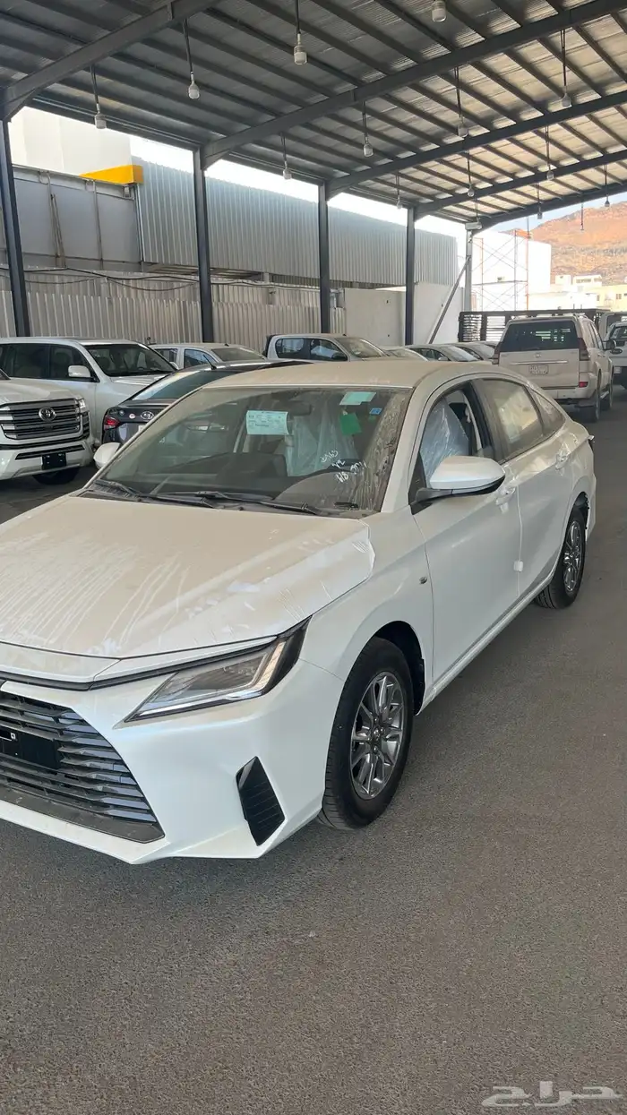 يارس Y Limited 2026 2