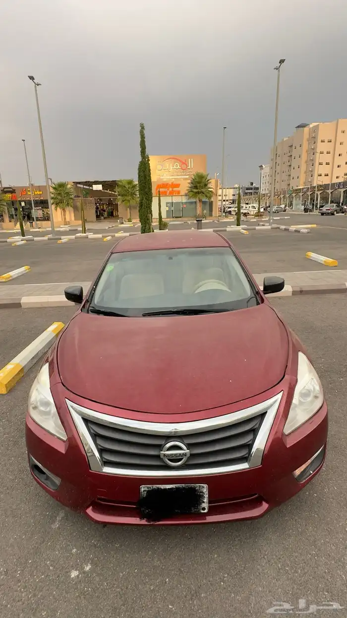 التيما 2013 1