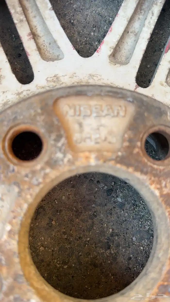 جنوط مكسيما 1