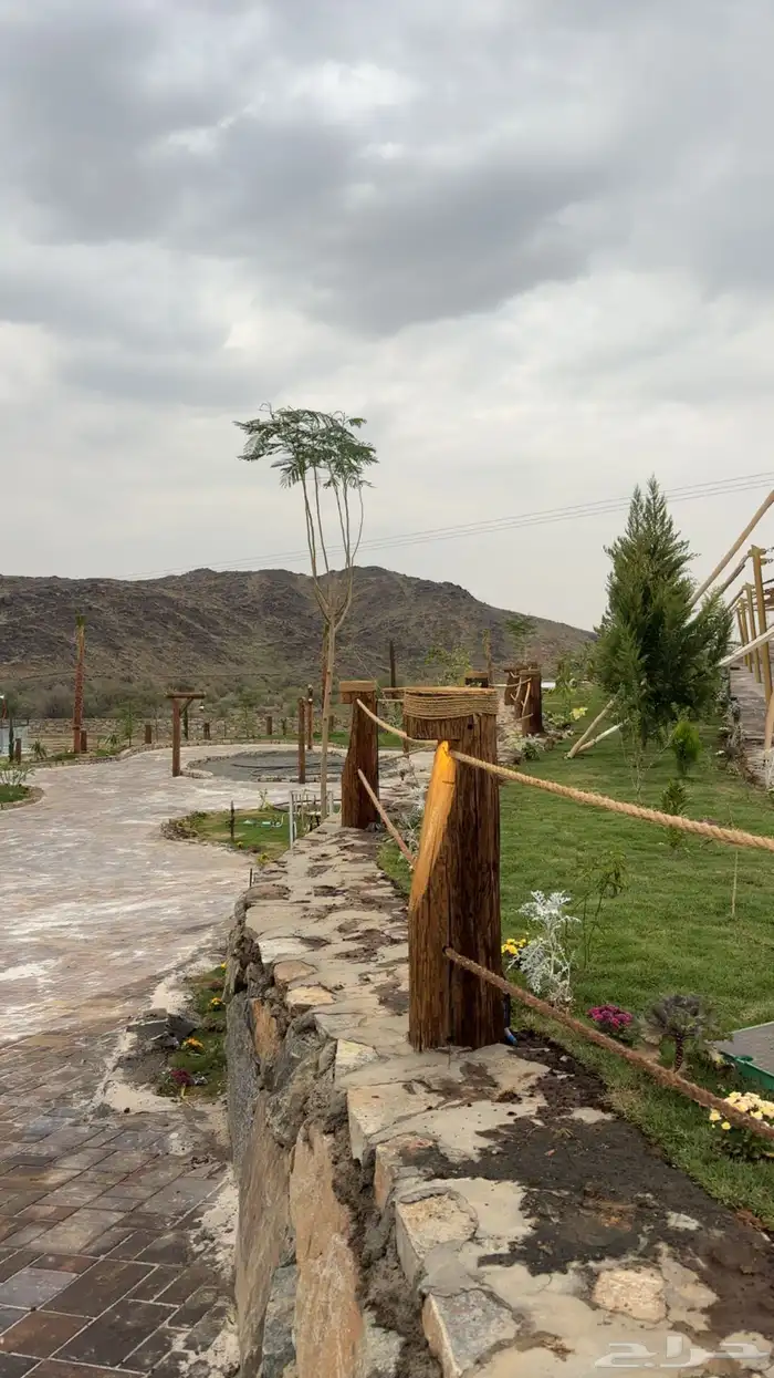 كراسي وطاولات خشبيه جوده عاليه 32