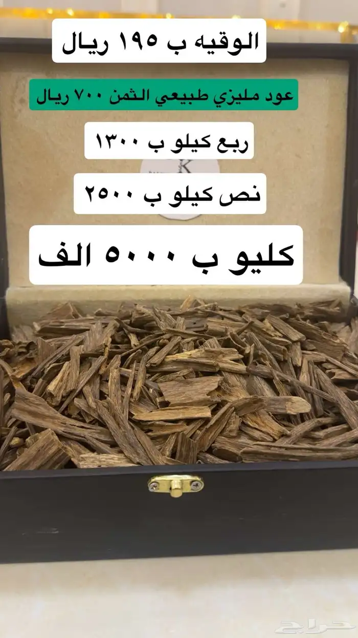 عود بسعر الجمله 5