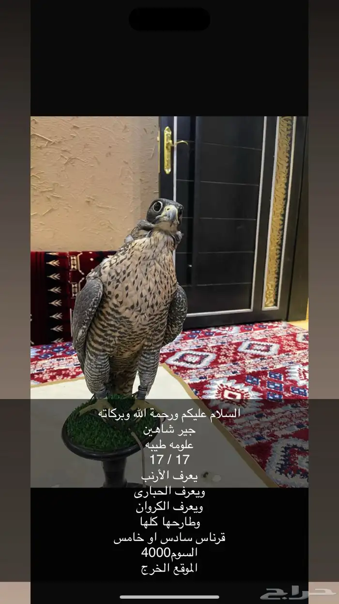 الخرج 0