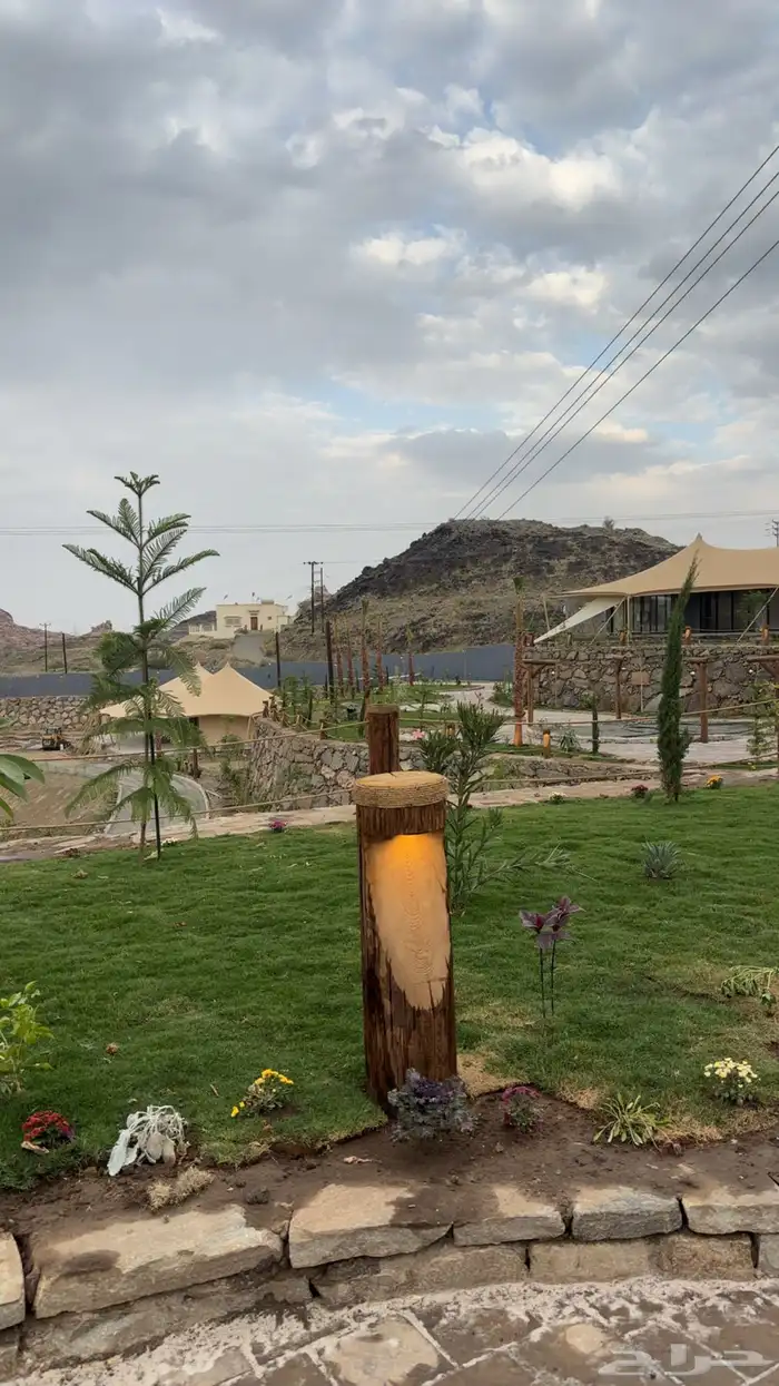 كراسي وطاولات خشبيه جوده عاليه 25