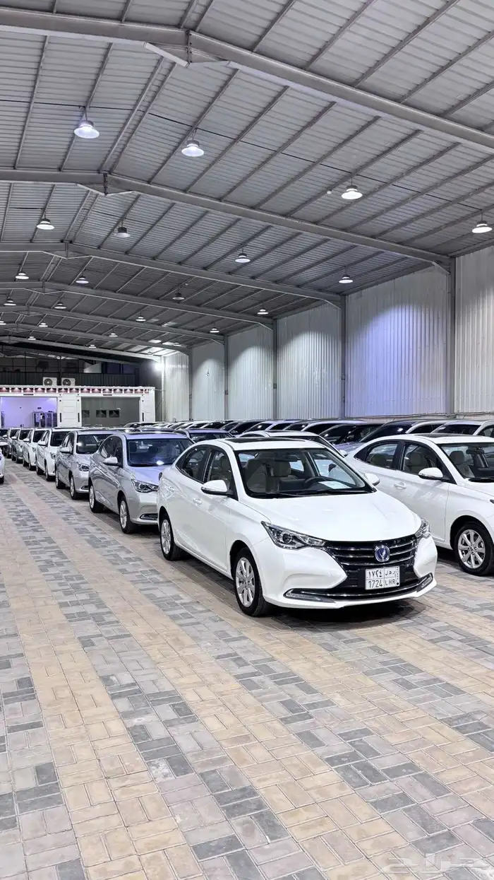 شانجان السفن 2025 فل كامل عرض خاص فاتورة ضريبيه 12